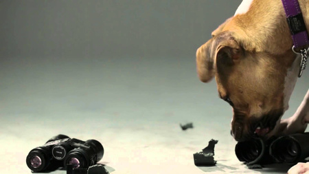 Lornetka Vortex Crossfire HD 10x50