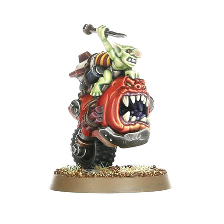 Warhammer 40K SQUIGHOG BOYZ