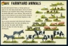 Farmyard Animals