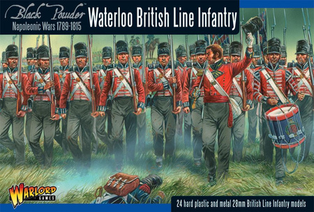 Black Powder Napoleonic British Line Infantry (Waterloo campaign)