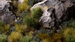Gamers Grass: Blue Flowers (Wild)